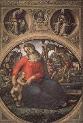 Luca Signorelli Madonna and Child with Prophets oil painting picture wholesale
